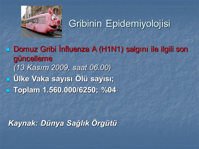 Gribinin Epidemiyolojisi Domuz Gribi İnfluenza A (H1N1) salgını ile ilgili son güncelleme  (13